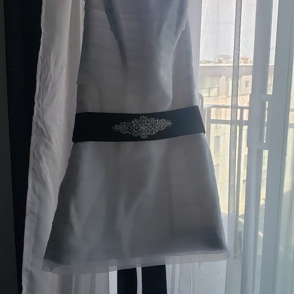 David's Bridal convertible wedding Gown (2 in 1) - Picture 3 of 4